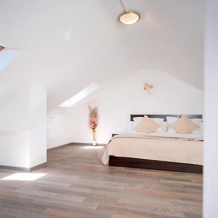 Daire Memo - Zf Hvar *